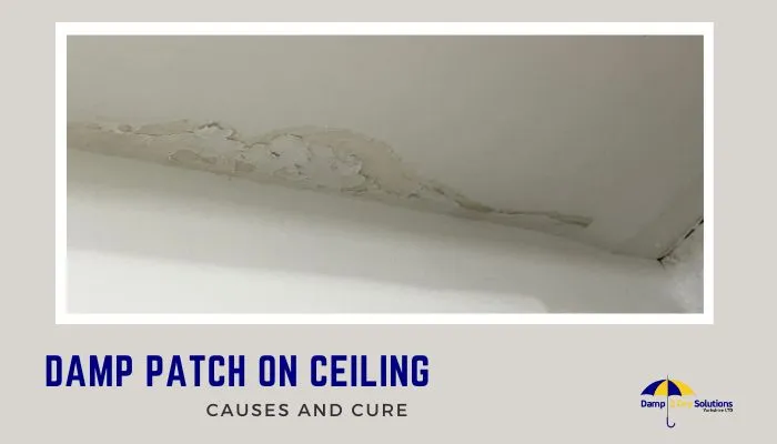 Brown Stain on Ceiling: Leak or Damp? What Insurers Require for a Claim